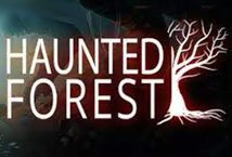 Haunted Forest Slot Review